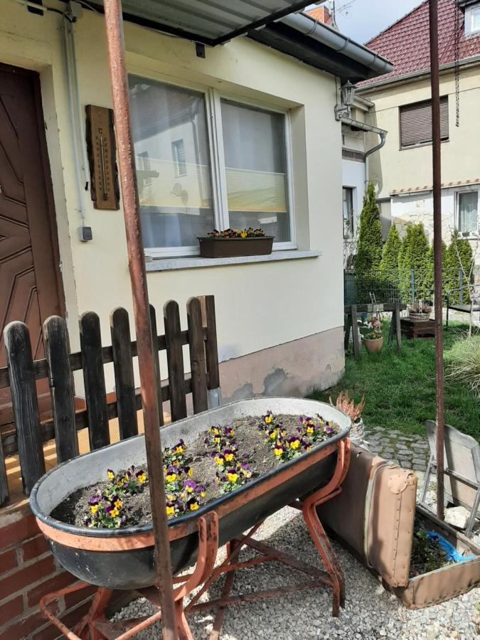 Apartment Sorgenfrei Caputh Eksteriør billede